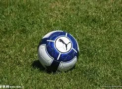 费德勒抵制,无观众赛事,遭猛烈批评,yy易游体育官方,yy易游中国体育,YY易游体育官方网站,yy易游体育app下载