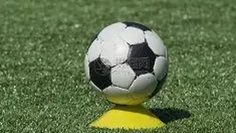 yy易游中国体育 资讯 102504 x64